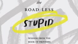 The Road Less Stupid