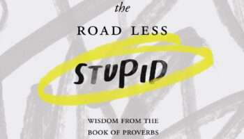 The Road Less Stupid