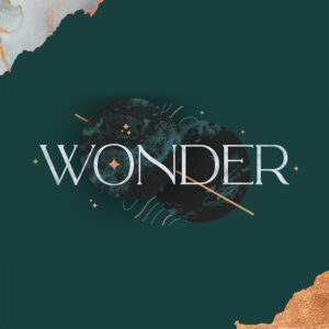 Wonder