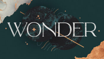 Wonder